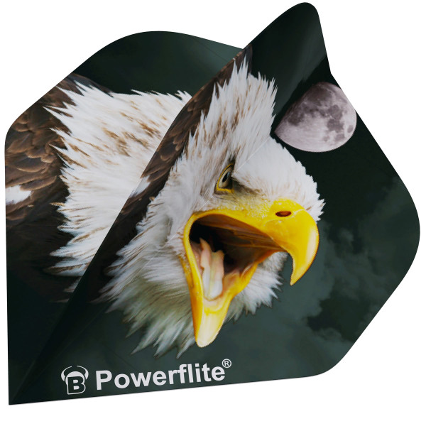 BEAZD Powerflite - Premium Dart-Flights | A-Standard