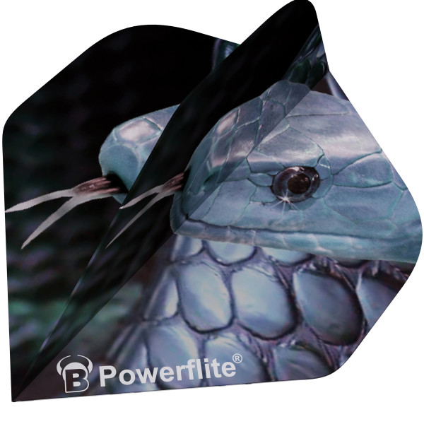 BEAZD Powerflite Standard A-Shape - Premium Dart-Flights | A-Standard